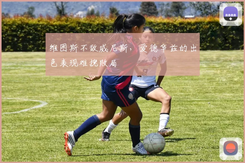 维图斯不敌威尼斯，爱德华兹的出色表现难挽败局